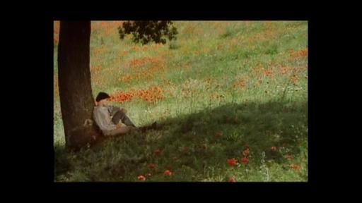 Loescher Editore WebTV - Fratello sole, sorella luna di Franco Zeffirelli